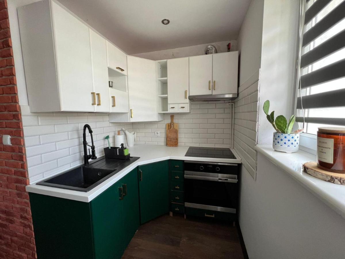 波兰尼卡-兹德鲁伊Apartament - Loft公寓 外观 照片