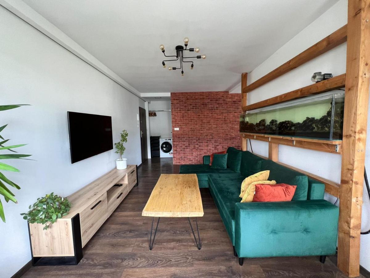 波兰尼卡-兹德鲁伊Apartament - Loft公寓 外观 照片
